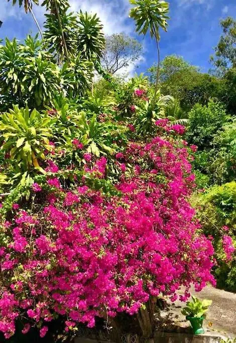 Hilltop South - Villa Bougainville Takamaka Seychelles