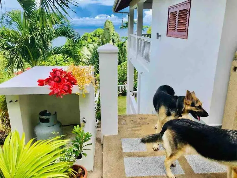 Hilltop South - Villa Bougainville Takamaka Seychelles